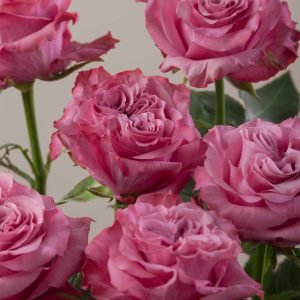 Home country blues waterfall view